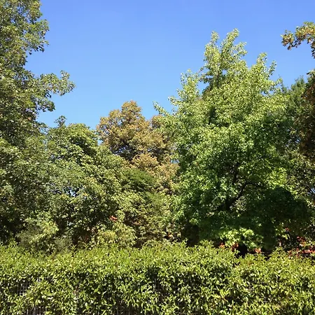 Corte Della Vittoria 4*