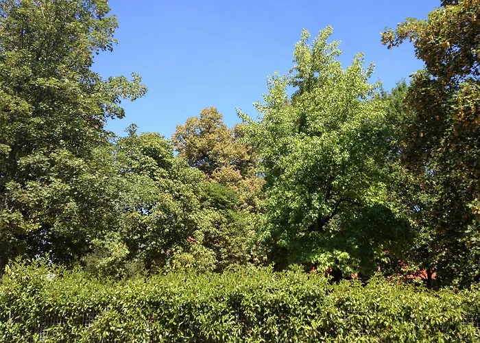 Corte Della Vittoria 4*